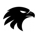 RaiseHunt logo