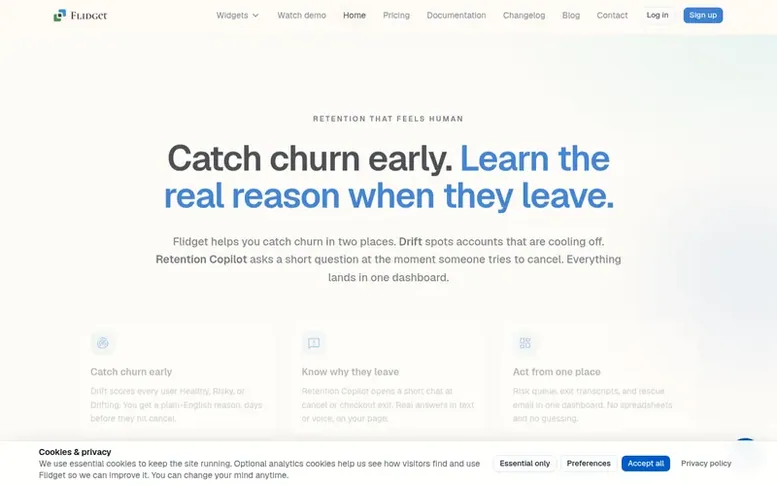 Screenshot of the Flidget homepage